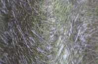 Silver Hill fibreglass roof work